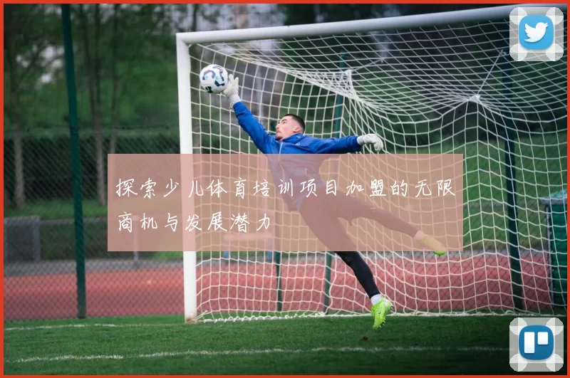 探索少儿体育培训项目加盟的无限商机与发展潜力